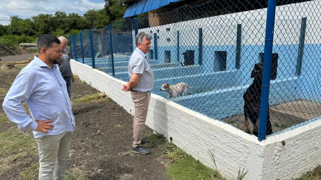 Prefeitura de Matão avalia balanço de ações realizadas no Canil Municipal durante o mês de janeiro