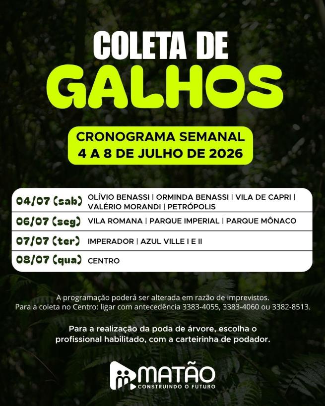 Fique ligado no cronograma da coleta de galhos