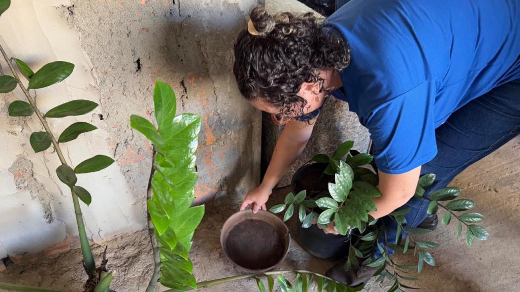 Atenção, população dos bairros Jardim Itália e Jardim Brasil – Mutirão contra o Aedes aegypti