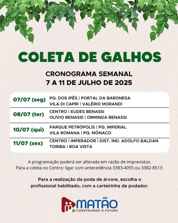 Fique ligado no cronograma da coleta de galhos!