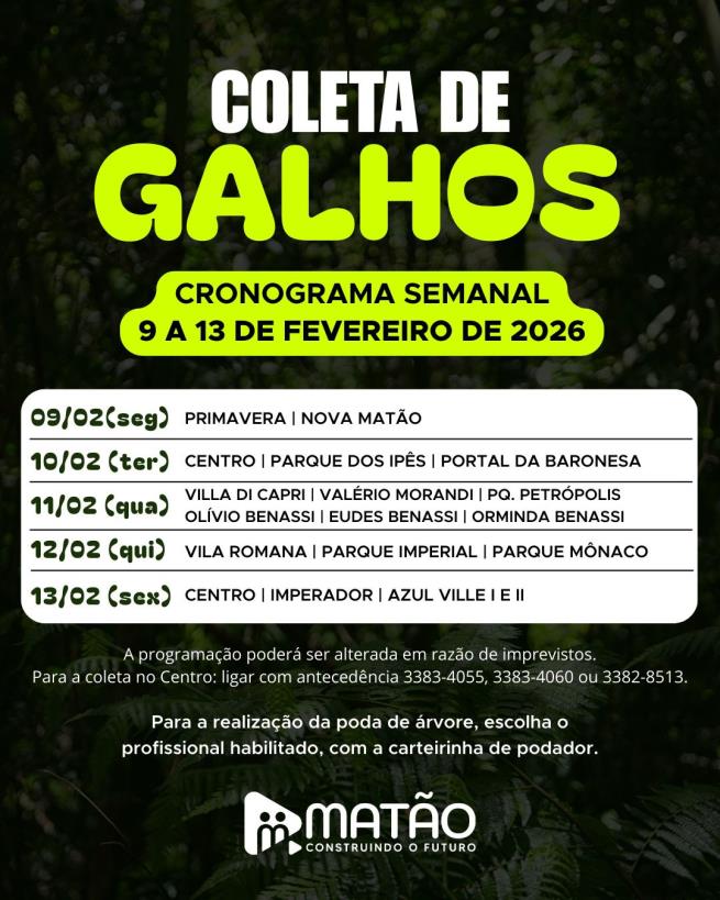 Fique ligado no cronograma da coleta de galhos!