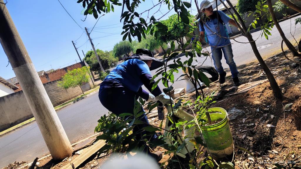 Atenção, população do bairro Silvânia! - Mutirão de Combate a Dengue