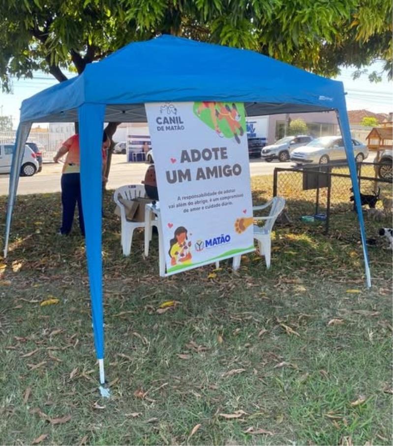 Campanha ‘Adote um pet’ tem nove adoções no fim de semana