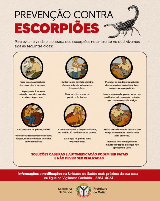 Escorpiões: Secretaria de Saúde intensifica orientações sobre aparecimento, prevenção de acidentes e serviços