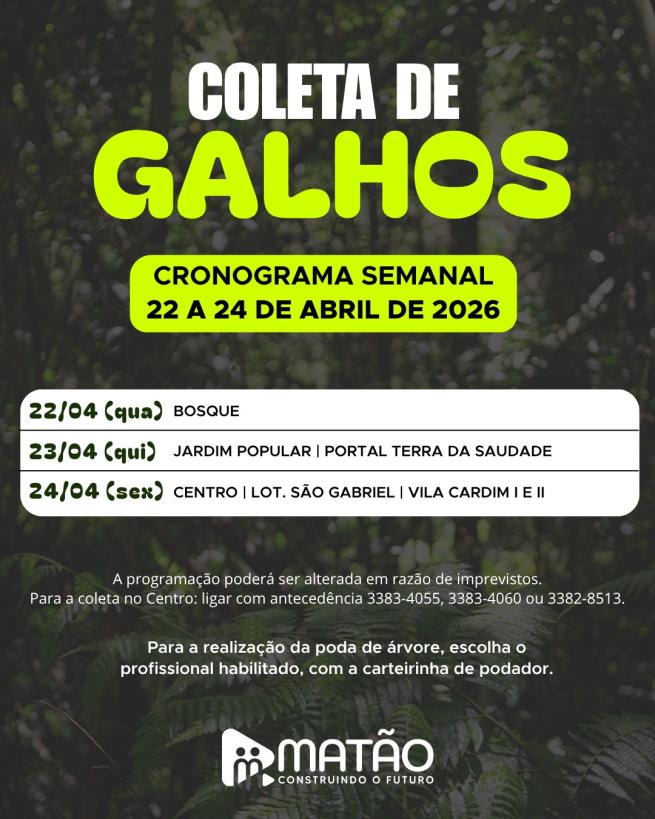 Atenção para os locais de coleta de galhos!