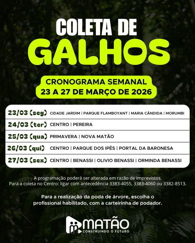 Fique ligado no cronograma da coleta de galhos!