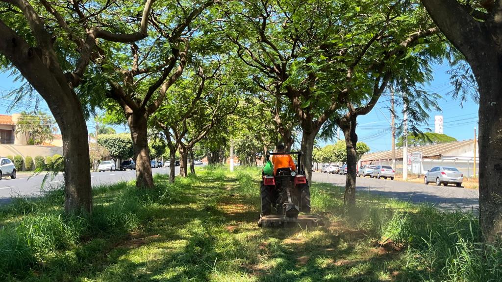 Cronograma de zeladoria urbana das áreas verdes é retomado com intensificação dos serviços