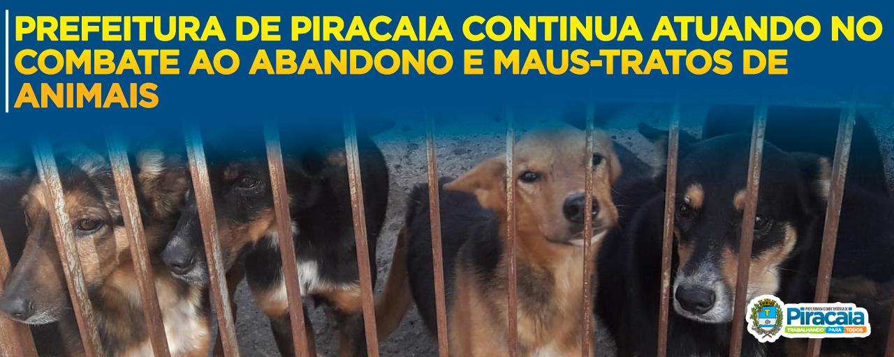 Prefeitura de piracaia continua atuando no combate ao abandono e maus-tratos de animais
