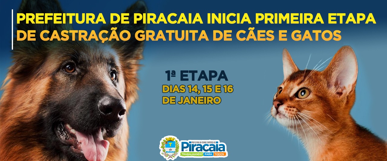 Prefeitura de Piracaia inicia primeira etapa de castração gratuita de cães e gatos.