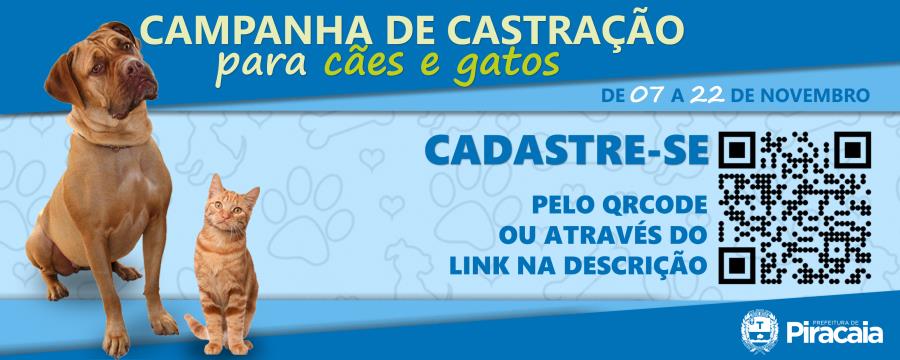 Inscrições para castração de cães e gatos termina domingo no município