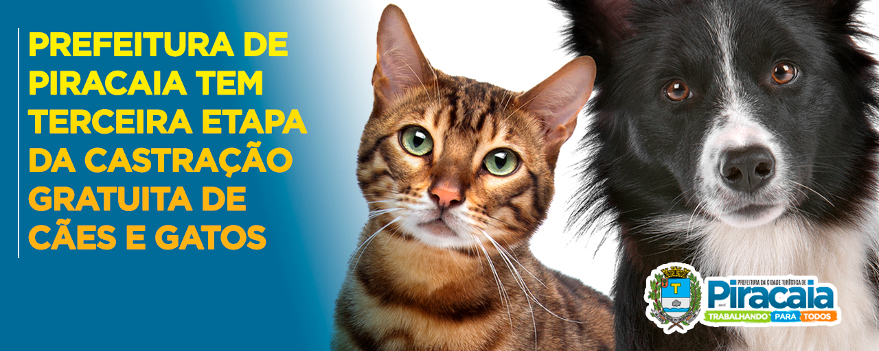 Prefeitura de Piracaia tem terceira etapa da castração gratuita de cães e gatos