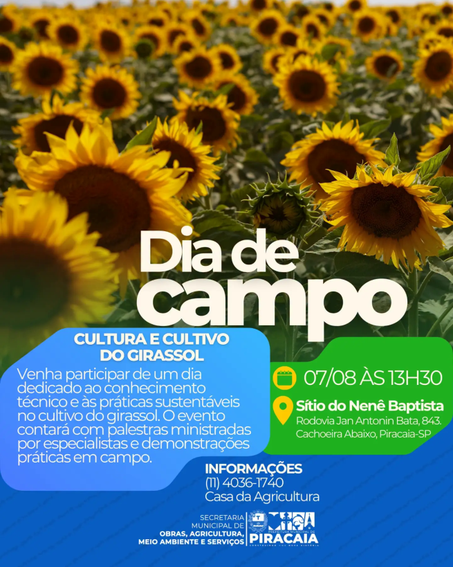 PREFEITURA DE PIRACAIA CONVIDA PARA O DIA DE CAMPO SOBRE O CULTIVO DE GIRASSÓIS !