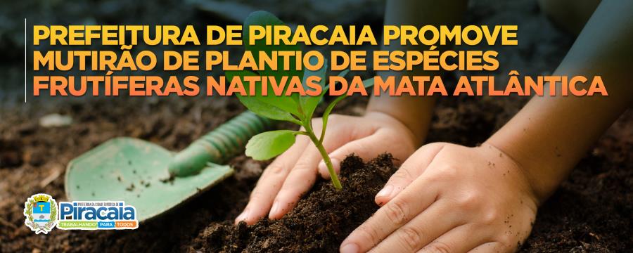 Prefeitura de Piracaia promove mutirão de plantio de espécies frutíferas nativas da Mata Atlântica