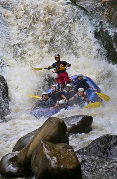 Radix Aventura