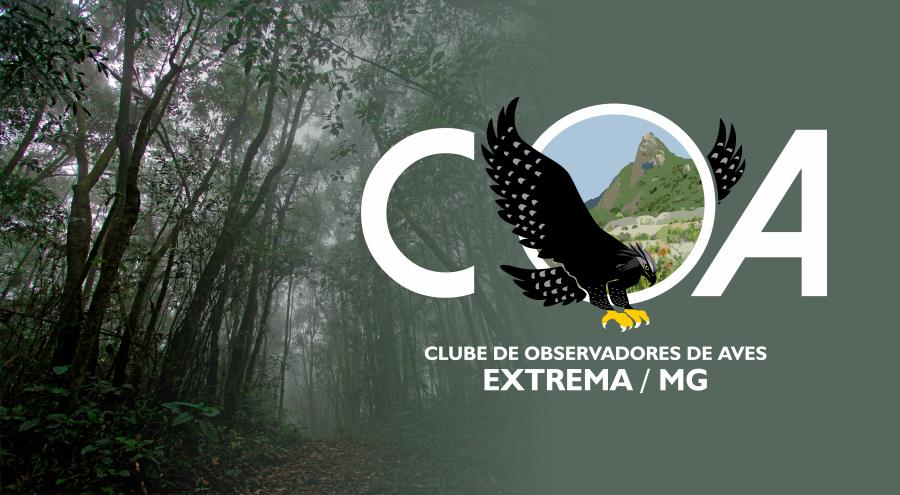 ROTEIRO DE OBSERVAÇÃO DE AVES DE EXTREMA