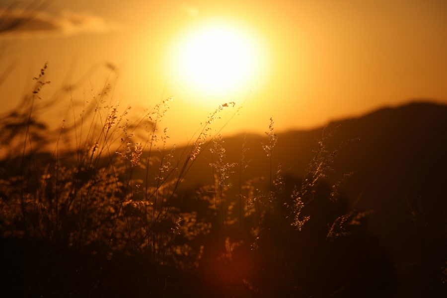 ROTA DO SOL