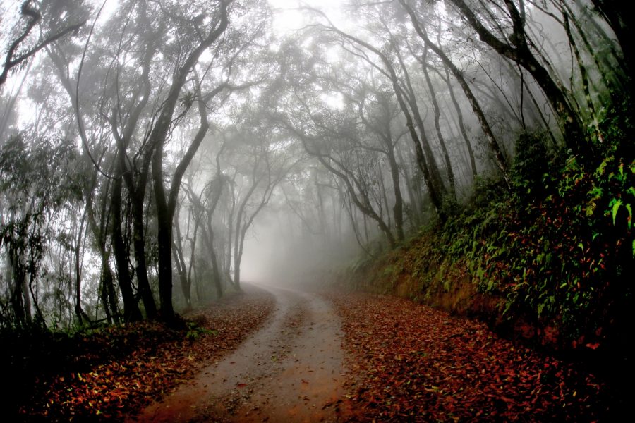 SERRA DAS ANHUMAS E SEUS MIRANTES NATURAIS