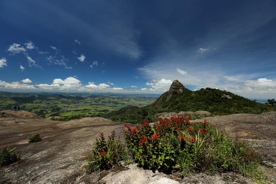 PEDRA DAS FLORES