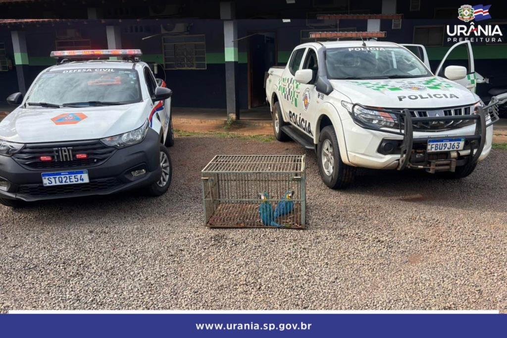 DEFESA CIVIL E SECRETARIA DE AGRICULTURA RESGATAM DUAS ARARAS-AZUIS EM URÂNIA