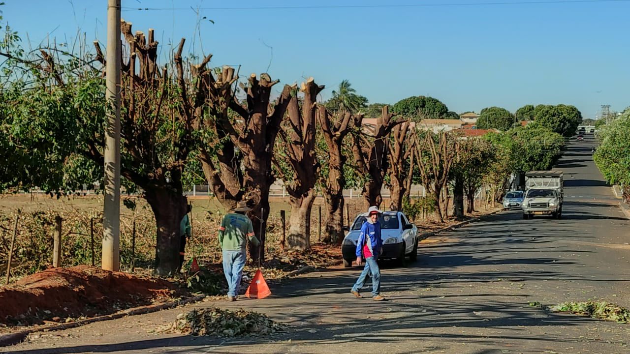 PREFEITURA REALIZA PODA DE ÁRVORES NA RUA BENEDITO DUARTE MENDES