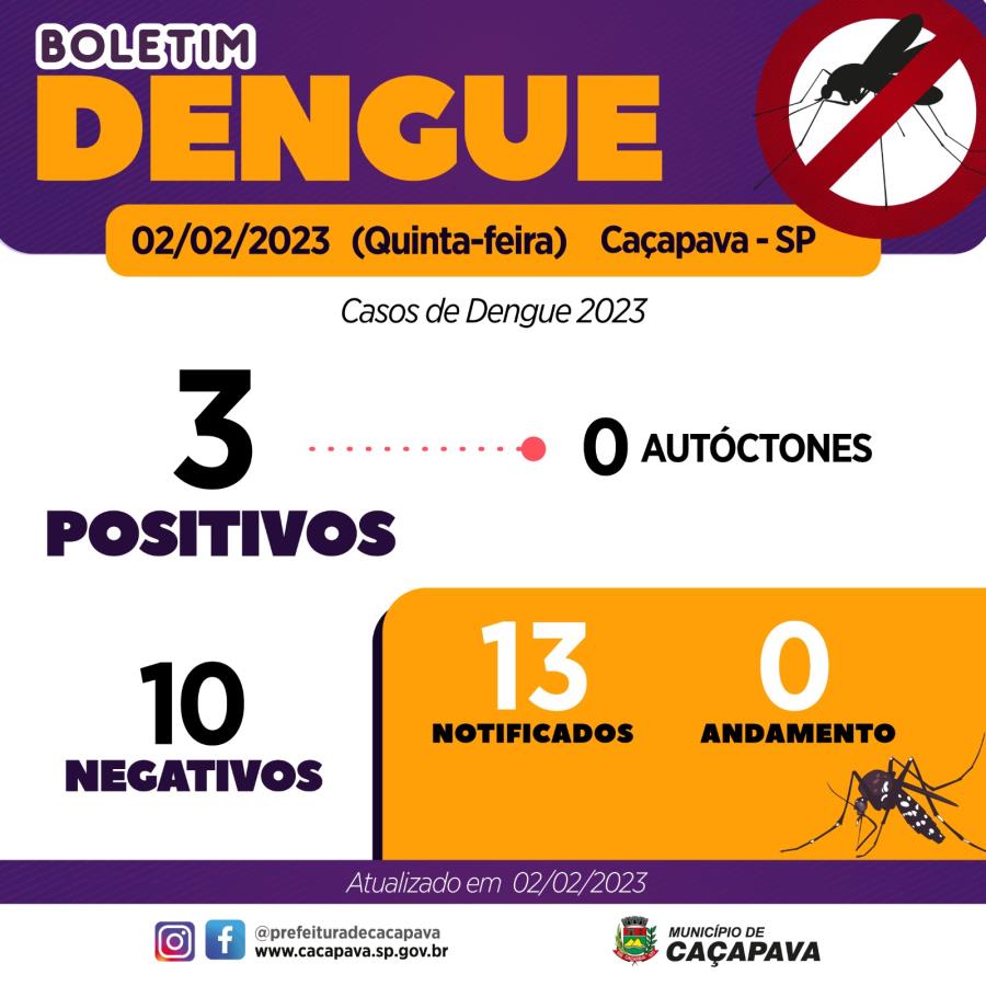 Boletim Dengue - 2 de fevereiro de 2023