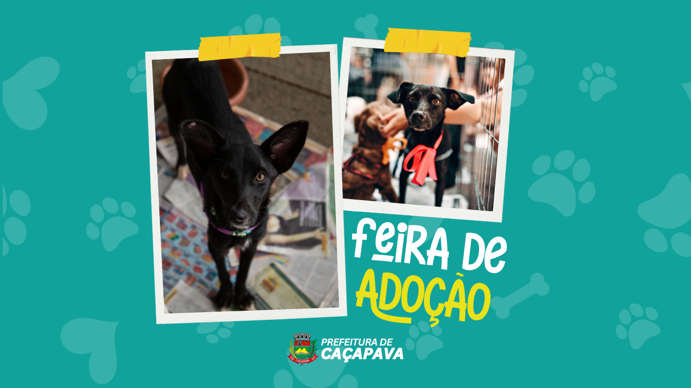 Feira de Adoção acontece no dia 05 de julho na Praça da Bandeira