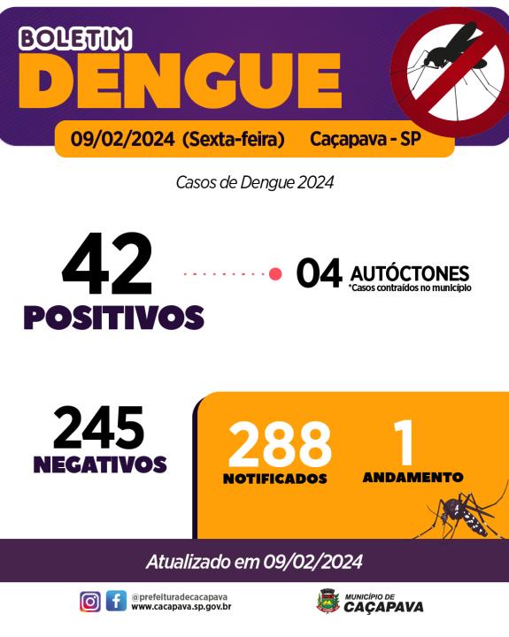 Boletim Dengue - 9 de fevereiro de 2024