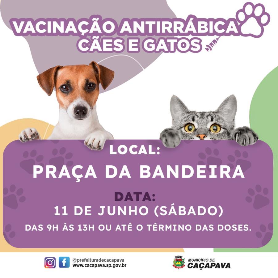 Prefeitura realiza vacinação antirrábica na Praça da Bandeira neste sábado (11)