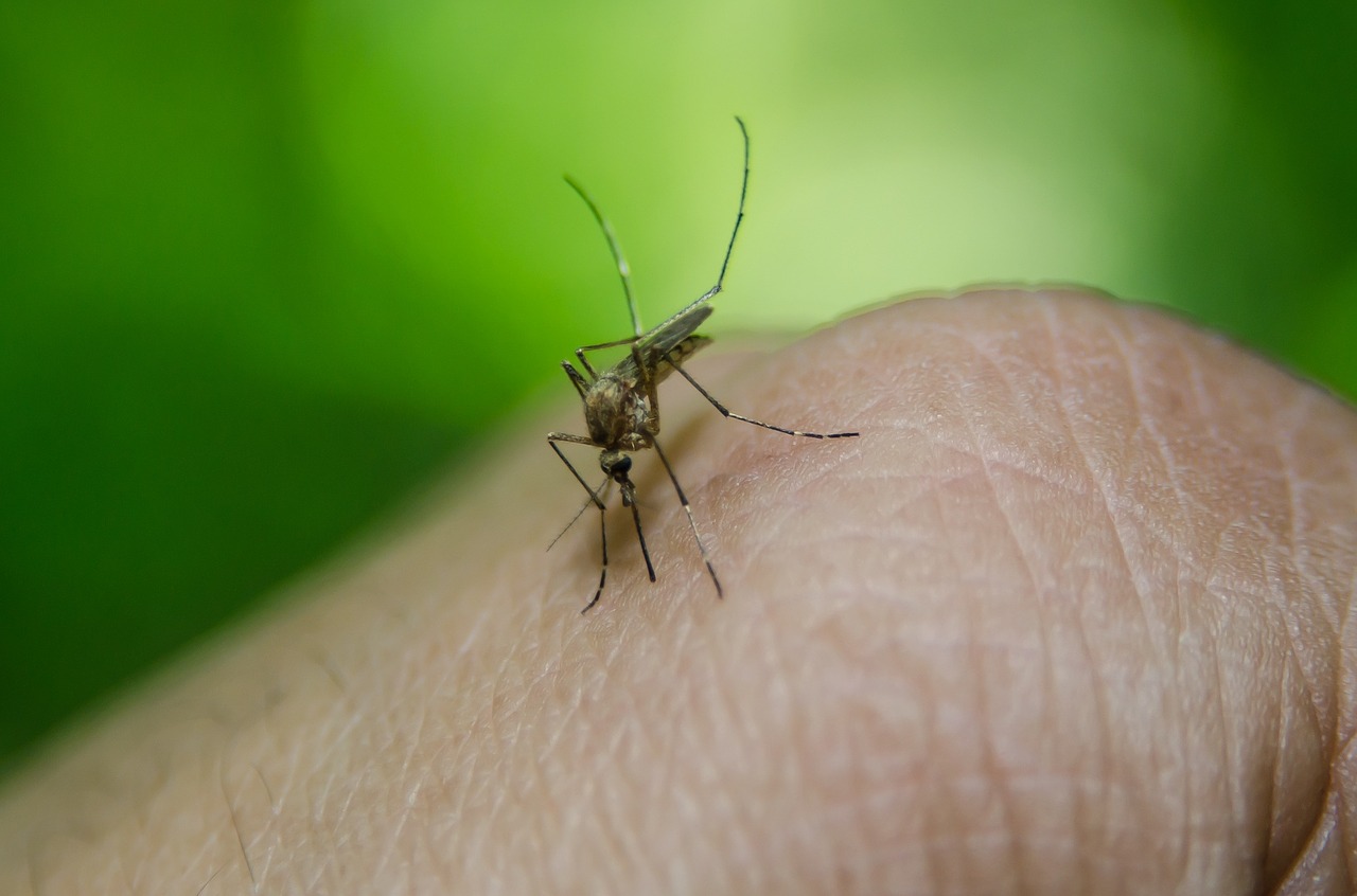 Equipe da Dengue inicia vistorias na região do Mantiqueira