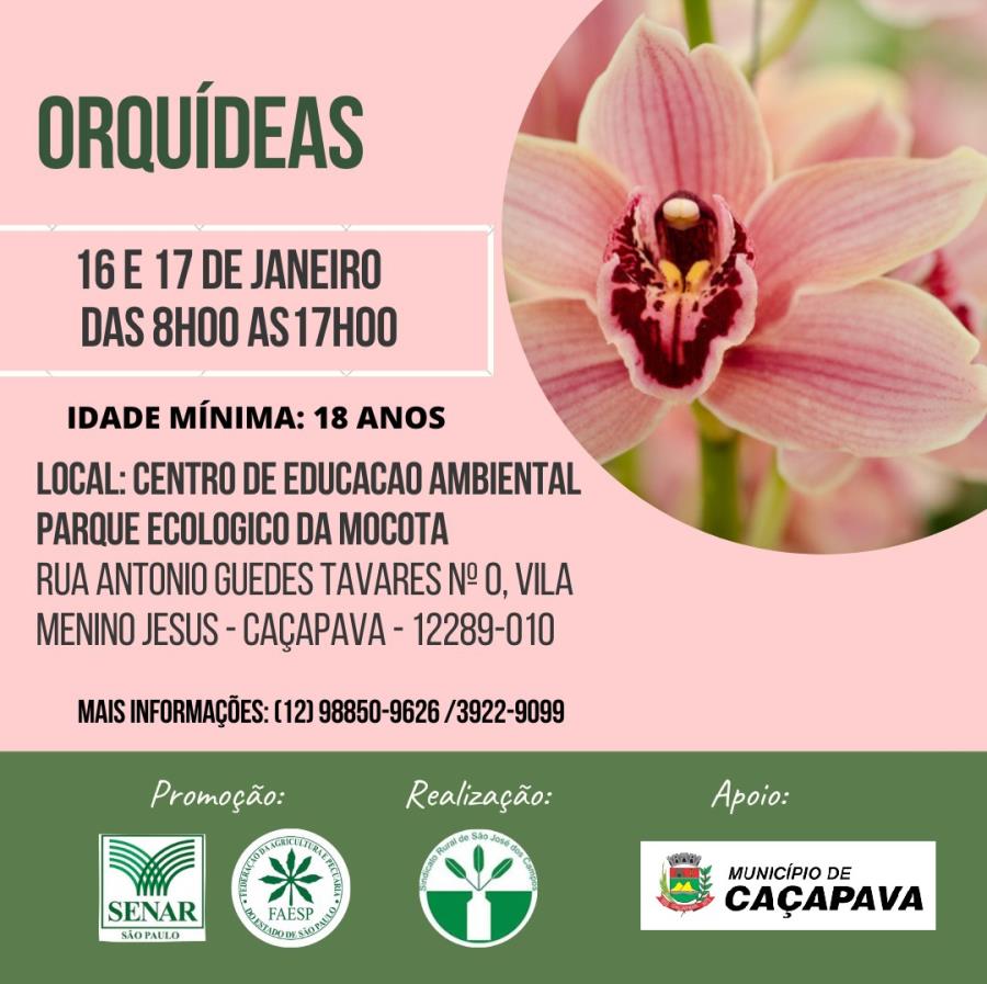 Inscrições abertas para curso de “Orquídeas”