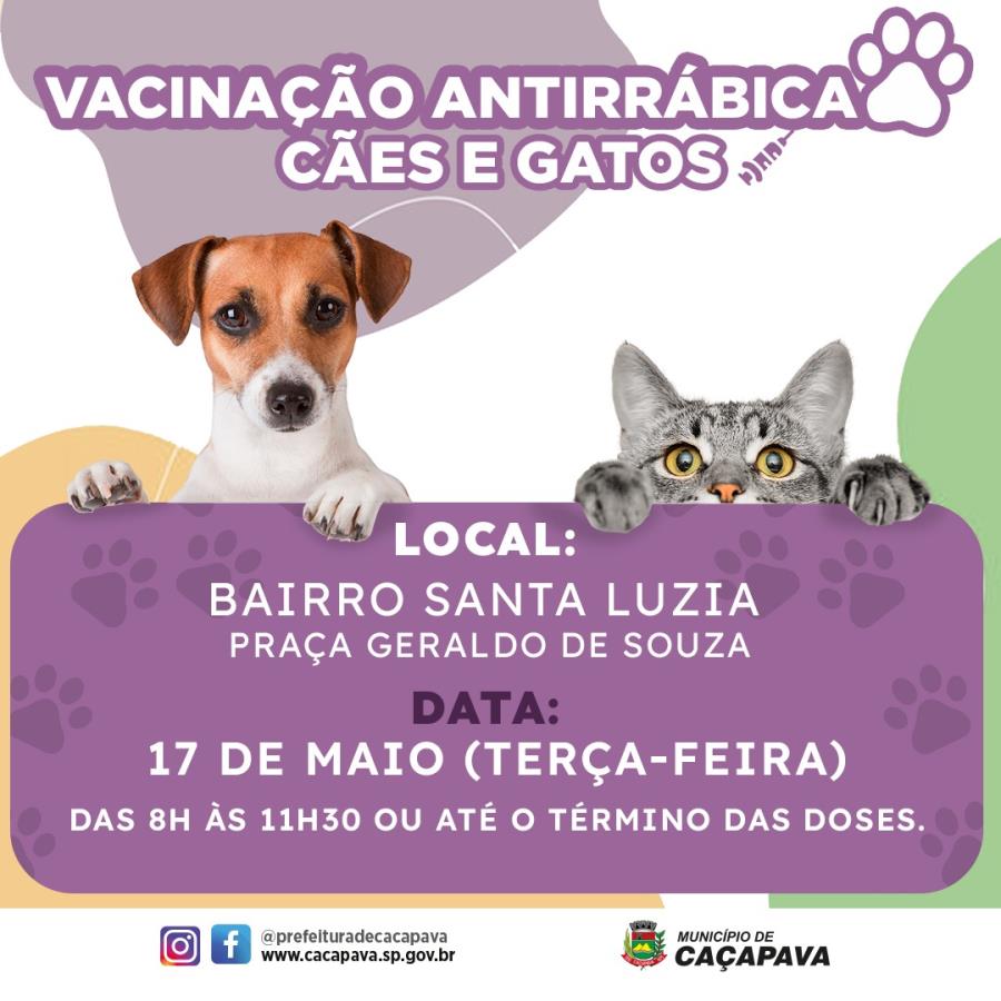 Prefeitura realiza vacinação antirrábica na terça-feira (17), no bairro Santa Luzia