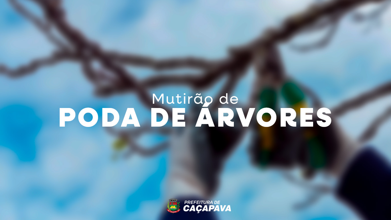 PREFEITURA CRIA LINK PARA PEDIDO DE PODA DE ÁRVORE