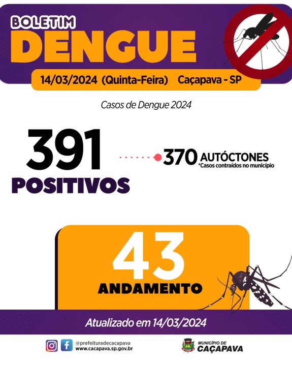 Boletim da Dengue - 14 de março de 2024