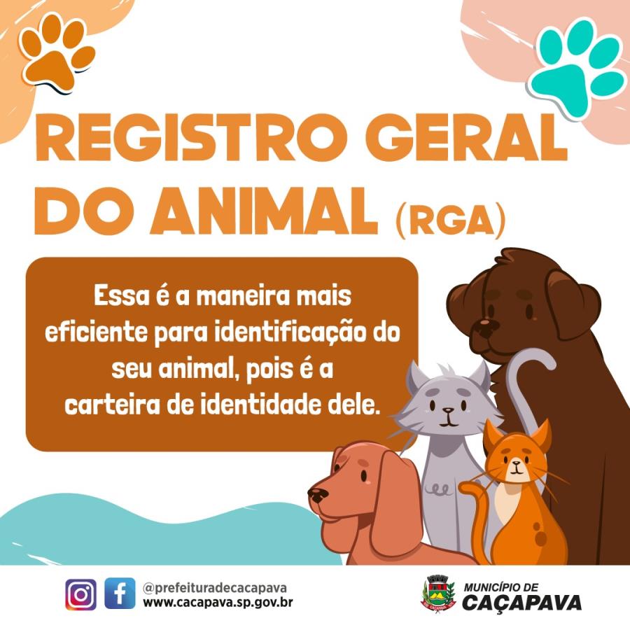 Prefeitura lança campanha para criar o Registro Geral de Animais