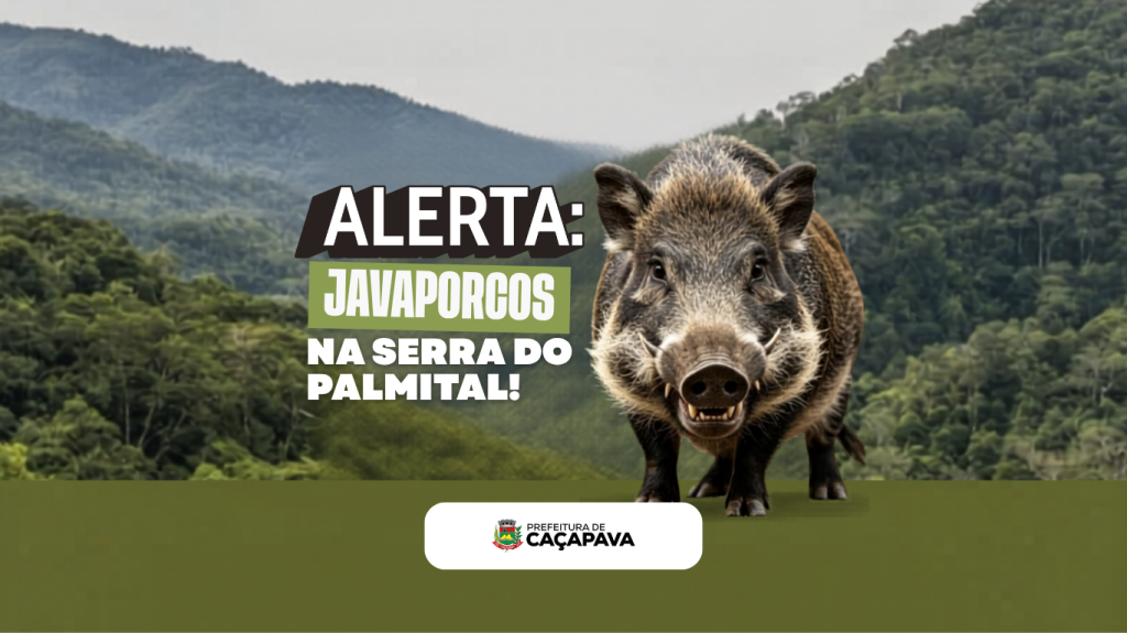 Alerta para presença de javaporcos na Serra do Palmital