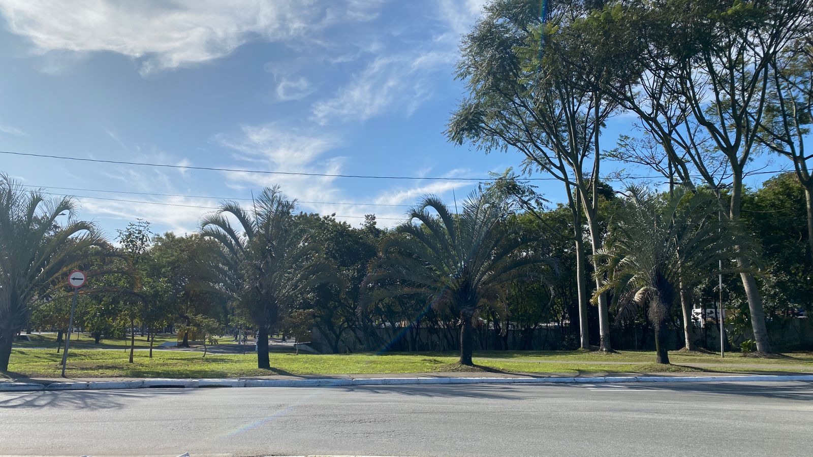 Prefeitura inicia transplante de palmeiras na Avenida Brasil para novo projeto de jardinagem e instalação de Monumento ao Antigomobilismo