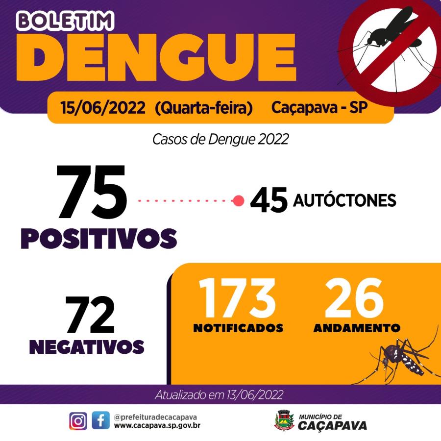 Boletim semanal Dengue - 15 de junho