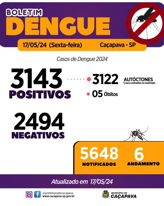 Boletim da Dengue - 17 de maio de 2024