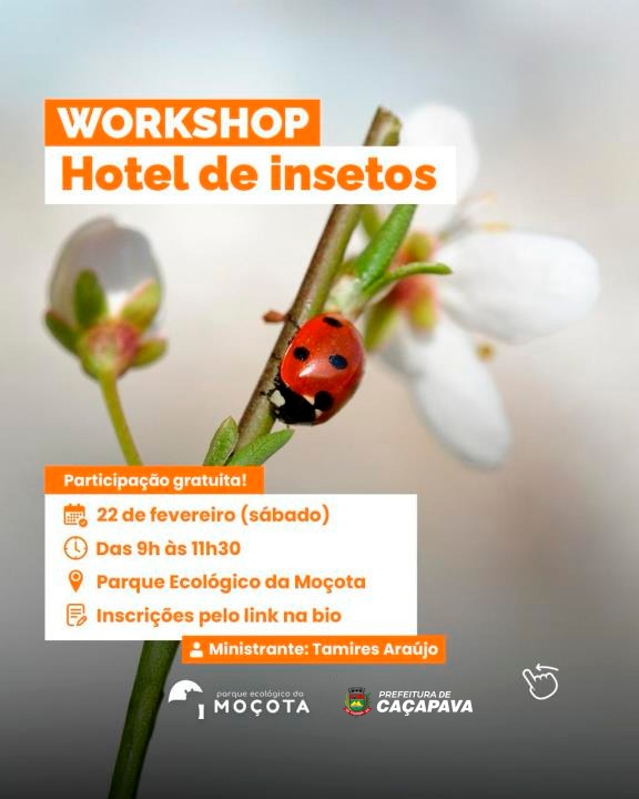 Parque da Moçota realiza Workshop Hotel de Insetos e Abelhas Solitárias neste sábado (22)
