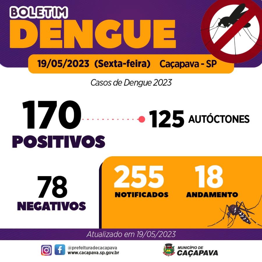 Boletim da Dengue - 19 de maio de 2023
