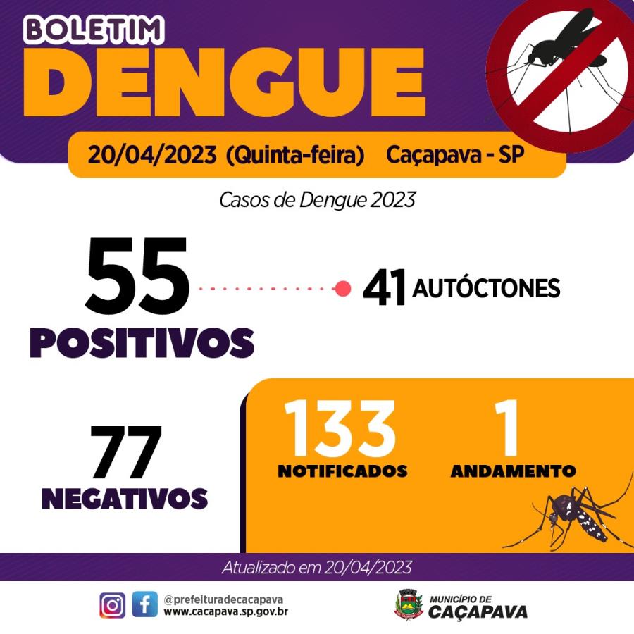Boletim da Dengue - 20 de abril 