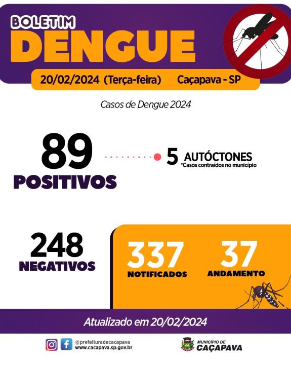 Boletim da Dengue - 20 de fevereiro de 2024