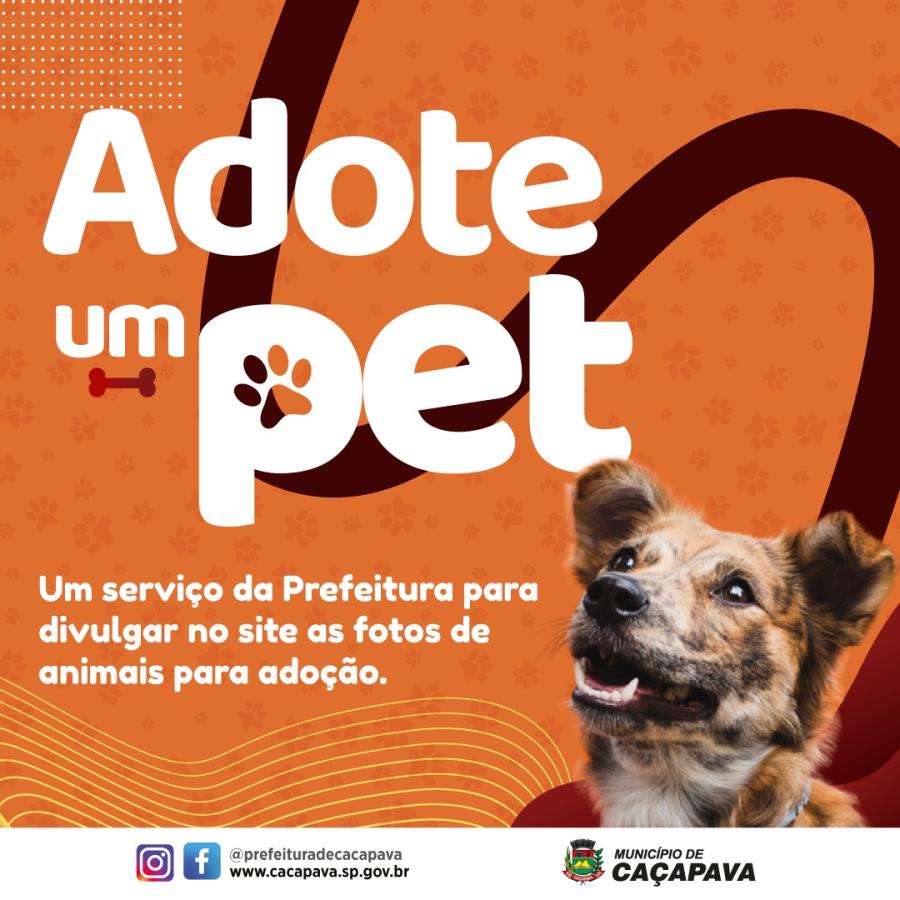 Adote um PET - Animais para adoção
