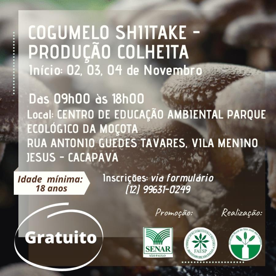 Inscrições abertas para curso de produção de cogumelo Shiitake