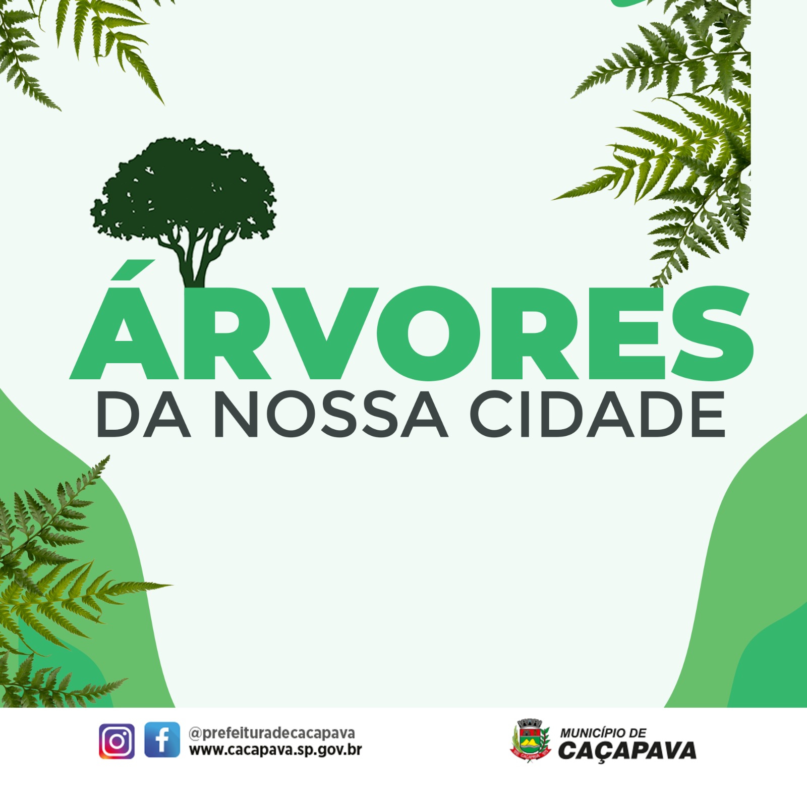 Prefeitura lança campanha “Árvores da Nossa Cidade”