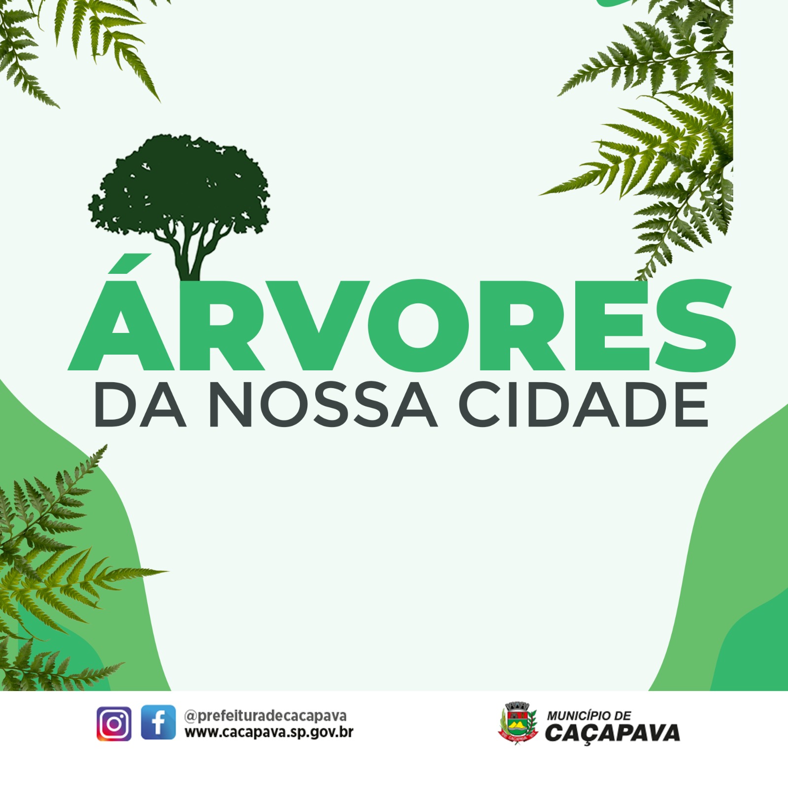 Notícias - Prefeitura de Caçapava