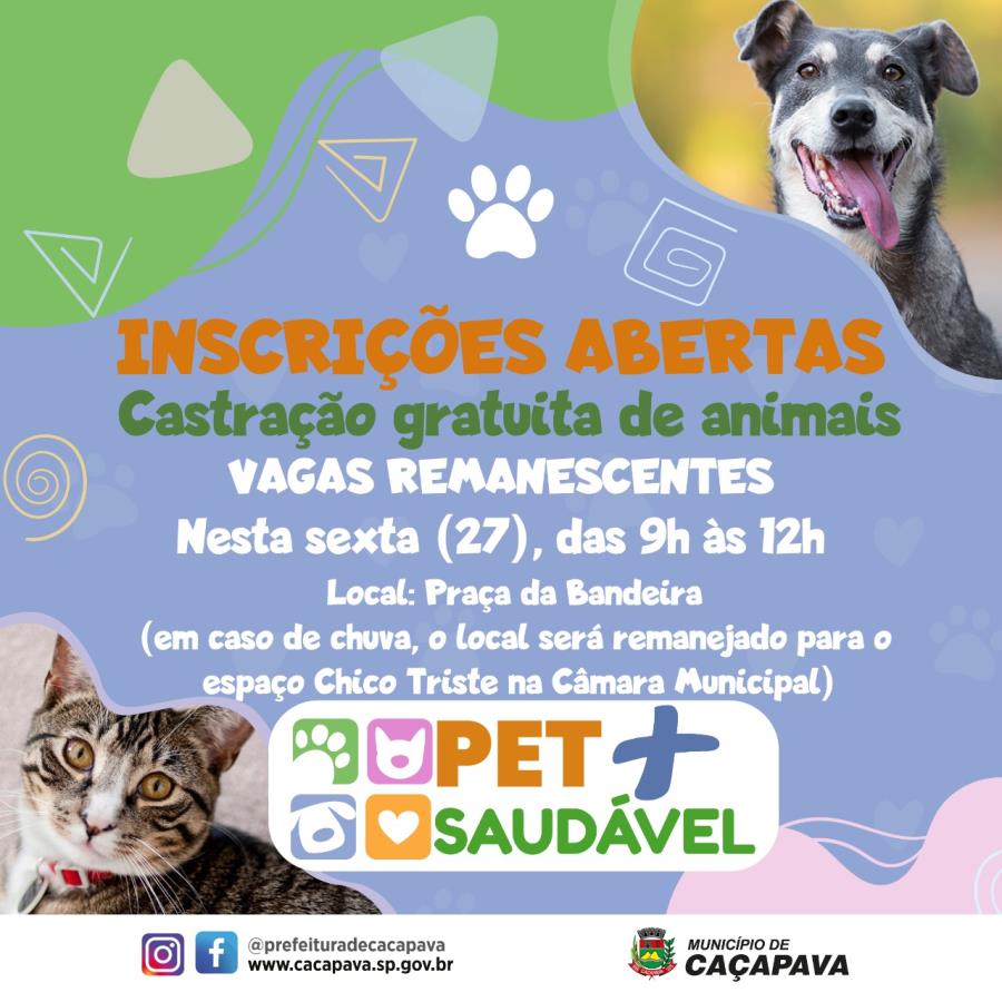 Vagas remanescentes para castração gratuita de cães e gatos serão  oferecidas nesta sexta-feira (27) na Praça da Bandeira