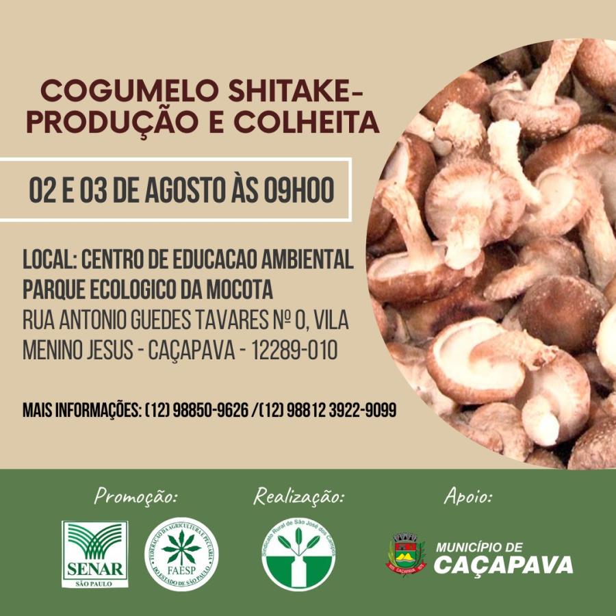 Inscrições abertas para curso gratuito de cogumelo shitake – produção e colheita