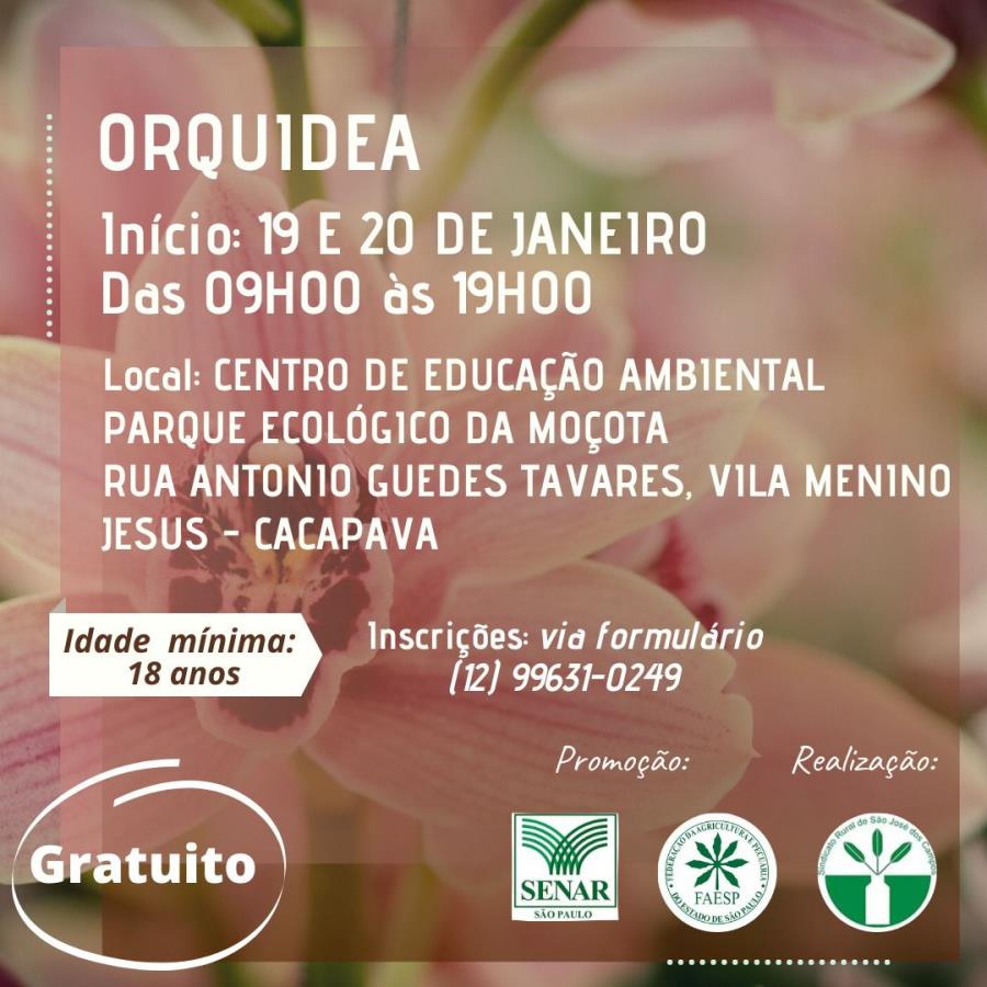 Inscrições abertas para curso gratuito sobre cultivo de orquídeas