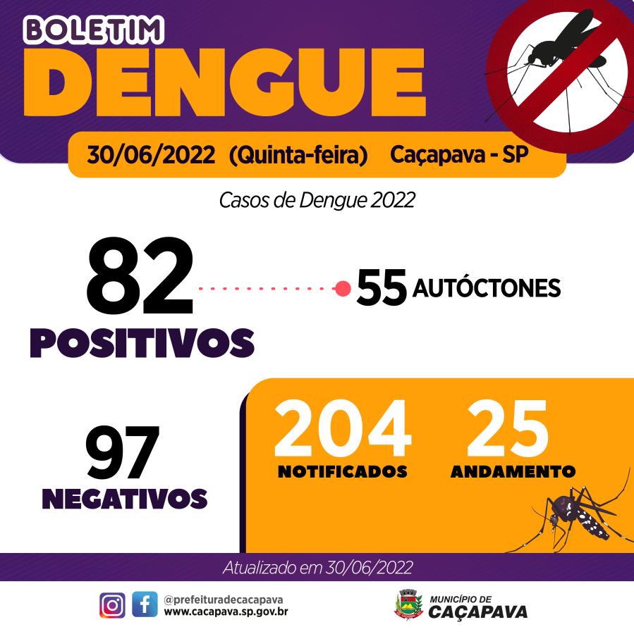 Boletim semanal da Dengue - 30 de junho
